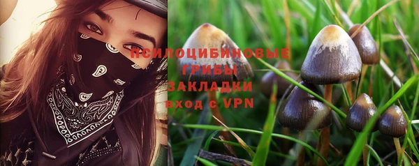 кокс Алексин