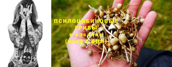альфа пвп Алзамай
