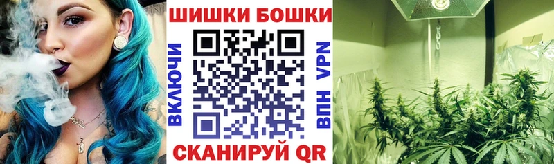 Каннабис OG Kush  Шебекино 